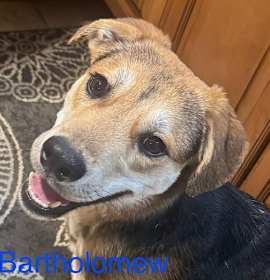 Photo of Bartholomew Roberts Roscoe