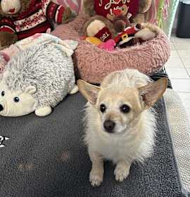 Photo of Travis Barker