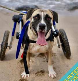 Photo of Camilo (CP)