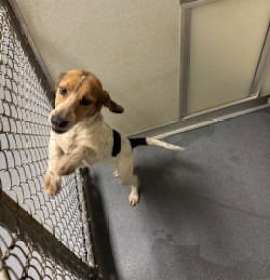 Photo of DA 14 Natalie