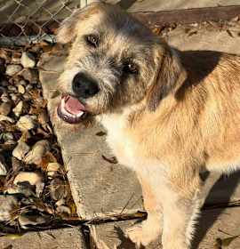 Photo of Johnny Lonestar