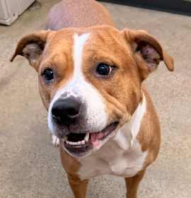 Photo of Freya XII 68