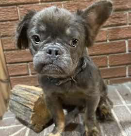 Photo of Clover-now Maxx