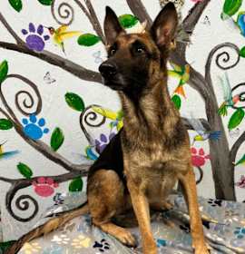 Photo of Ellie May 25