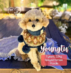 Photo of Youngtu - VANCOVER!!!