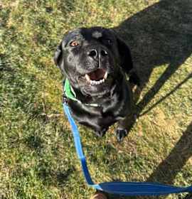 Photo of Gabby Nicole