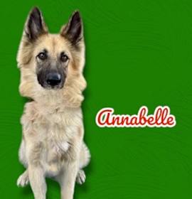 Photo of Annabelle