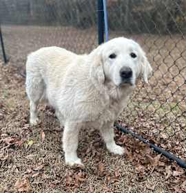 Photo of (HOLD)(Found) Yuki 