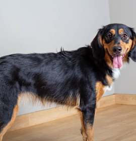 Photo of Millie D67526