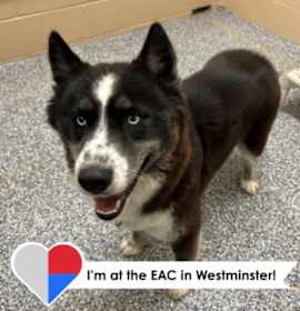 Photo of Rumpapumpum