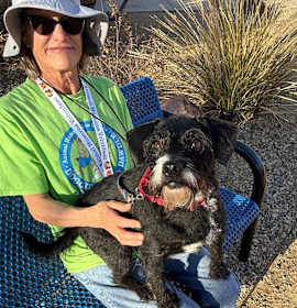 Photo of Stray Hold - Destiny