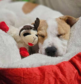 Photo of Itsa Newberry