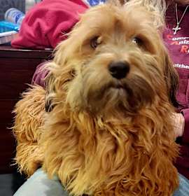 Photo of Petra 43c-14743