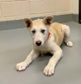 Photo of URGENT! Save Me Please