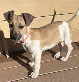 Photo of 939 (2025) Kris