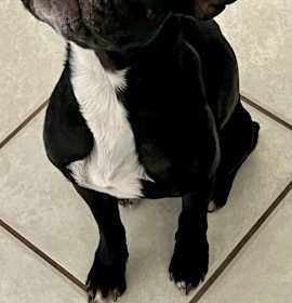 Stoney-ready mid January photo 1