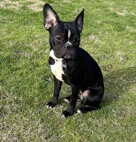 Stoney-ready mid January photo 2