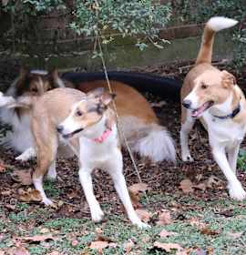 Photo of Mia and Milo