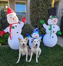 Photo of Jolene & Mia