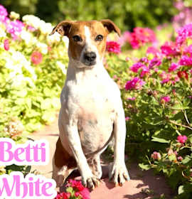 Photo of Betty White