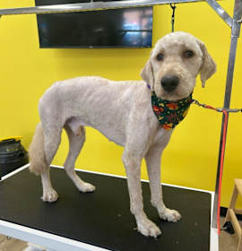 Photo of Bilbo baggins