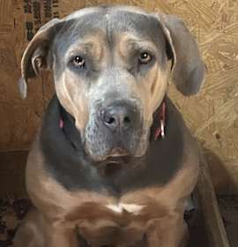 Photo of Kerri~Watch my video.