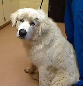 Photo of *MR. CLAUS*