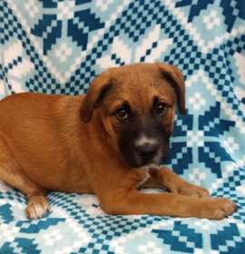 Photo of Mr Mischief