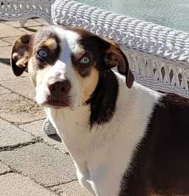 Photo of Charlie Kay