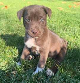 Photo of Ivy and Eve