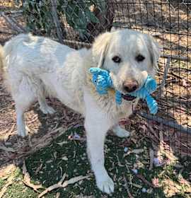 Photo of Raya Michelle