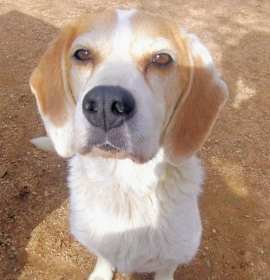 Photo of money penny-She's a Bond girl.