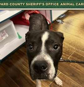 Photo of Jean Jacket