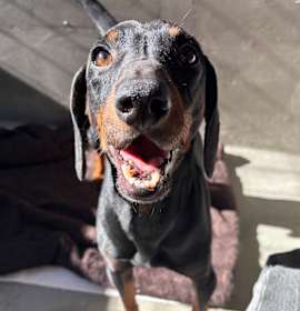 Photo of Xander A2247900