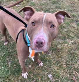 Eleven II 38 photo 2