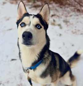 Photo of Young Gravy