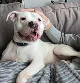 Photo of Chandler @ Foster + Sponsored