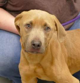 Photo of Spike (courtesy post)