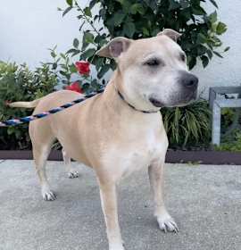 Betty The Sweet Girl photo 1