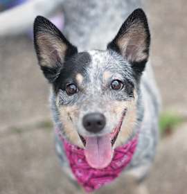 Photo of Chelsea Belle