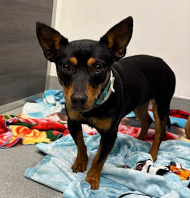 Lexi - City of Industry Location photo 3