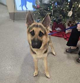 Photo of LASAMUEL JENKINS