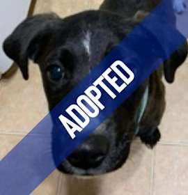 Photo of Gracie McWaggle