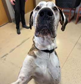 Photo of Gandalf aka Titan