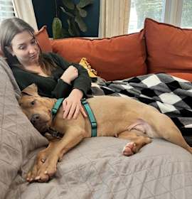 Photo of Corn Pudding - Available in Fo