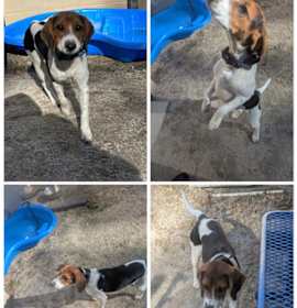 Photo of Butters - 23077