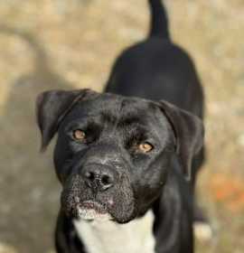 Photo of DEPUTY BLACKBERRY/URGENT