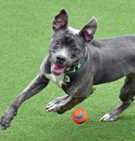 Jackie Frost photo 2