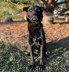 Photo of Bruce Wayne