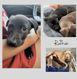 Photo of Ruthie